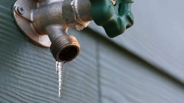Best Leak Detection Services  in Monroe North, WA